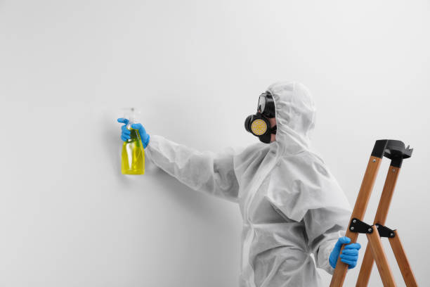 Mold Remediation for Vacation Homes in Parsons, KS